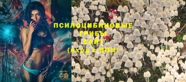метадон Арсеньев